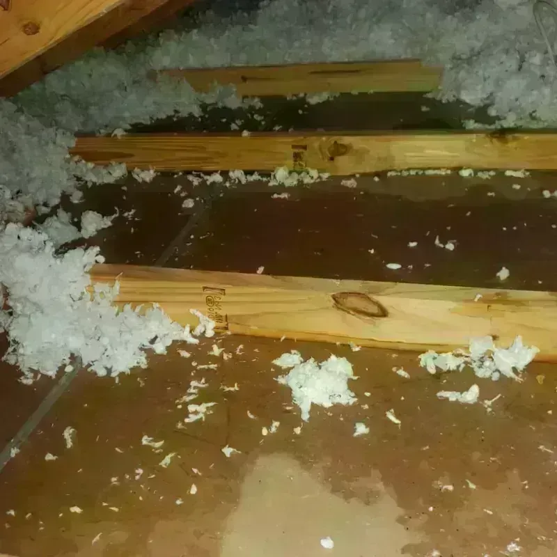 Attic Water Damage in York County, VA